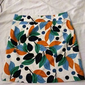 Ann Taylor skirt
